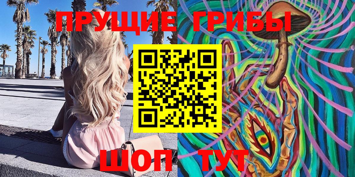 Галлюциногенные грибы Psilocybe Озёры